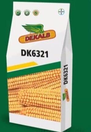 DK 6321 by DEKALB